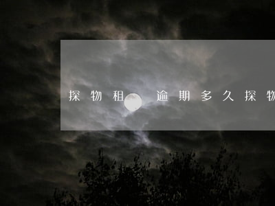 探物租機逾期多久(探物租賃幾天能到)