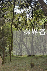 探界者免息分期 探界者貸款方案