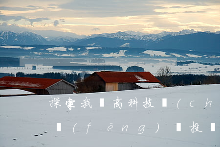 探索我國高科技產(chǎn)業(yè)風(fēng)險投資的戰(zhàn)略