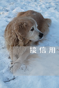 接信用卡逾期(收到信息說信用卡逾期)
