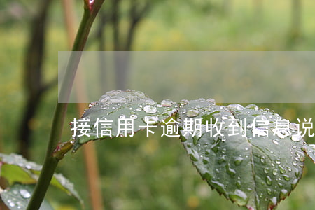 接信用卡逾期(收到信息说信用卡逾期)