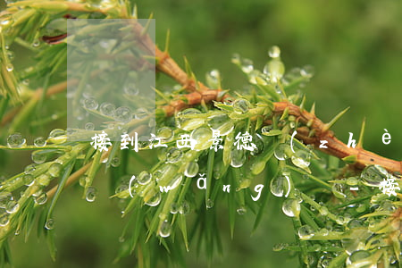 接到江西景德鎮(zhèn)的電話說我欠網(wǎng)貸-接到江西景德鎮(zhèn)的電話說我欠網(wǎng)貸是真的嗎