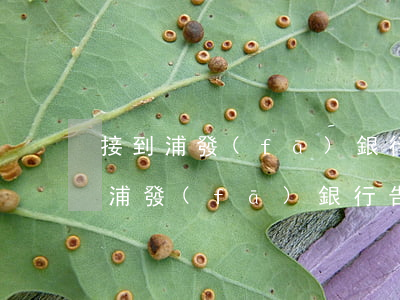 接到浦發(fā)銀行告訴還款電話-接到浦發(fā)銀行告訴還款電話是真的嗎