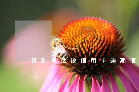 接到电话说信用卡逾期（信用卡逾期被通知家人）