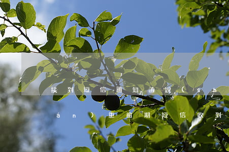 接到短信通知函說(shuō)貸款嚴(yán)重逾期(短信收到通知函說(shuō)我嚴(yán)重逾期)