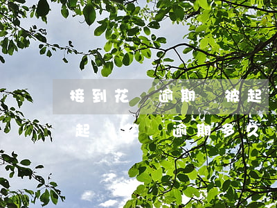 接到花唄逾期會被起訴嗎(花唄逾期多久會被起訴?花唄逾期多久會打電話)