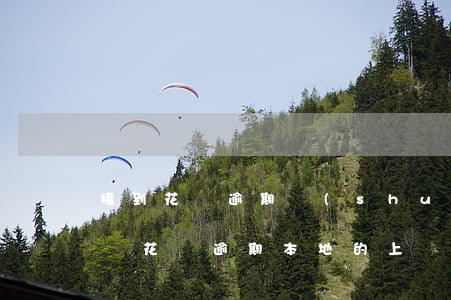 接到花唄逾期說(shuō)要上門嗎(支付寶花唄逾期本地的上門嗎)