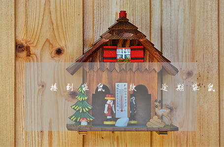 接到袋鼠貸款說逾期(袋鼠寶寶貸款)