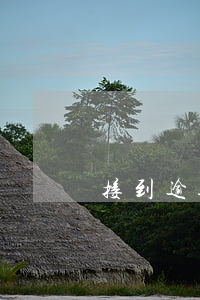 接到逾期短信但是并沒有逾期（并沒有逾期）
