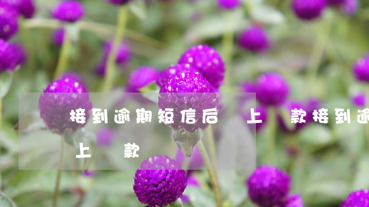 接到逾期短信后馬上還款(接到逾期短信后馬上還款)
