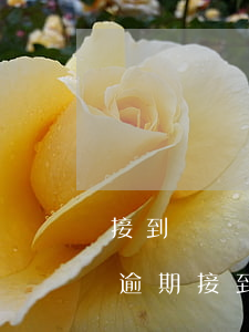 接到電話說(shuō)信用卡逾期（信用卡逾期接到追款）
