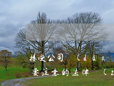 接受公司擔(dān)保,時(shí)刻需要注意的法律責(zé)任