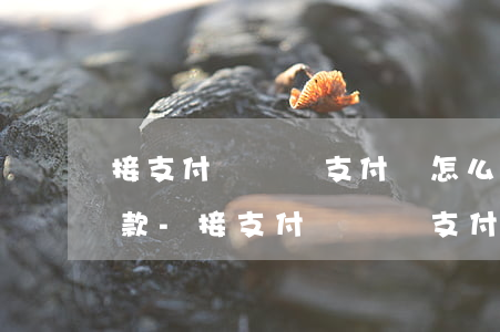 接支付寶電話支付寶怎么協(xié)商還款-接支付寶電話支付寶怎么協(xié)商還款呢