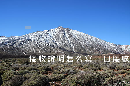 接收證明怎么寫(戶口接收證明怎么寫)