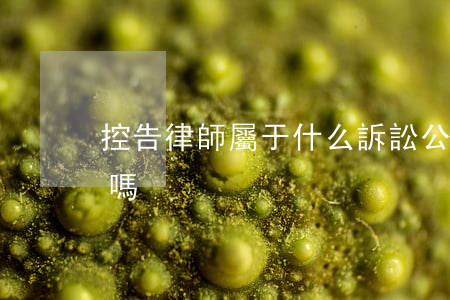 控告律師屬于什么訴訟(公訴人是原告的律師嗎)