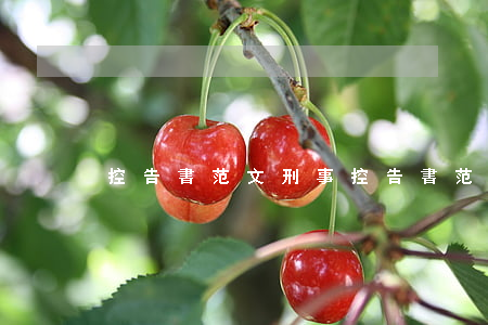 控告書范文(刑事控告書范文)