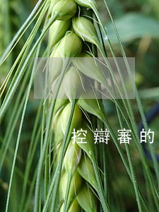控辯審的有效溝通問題