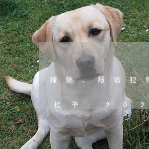 掩飾、隱瞞犯罪所得、犯罪所得收益罪立案標準_2021掩飾、隱瞞犯罪所得、犯罪所得收益罪量刑標準和認定