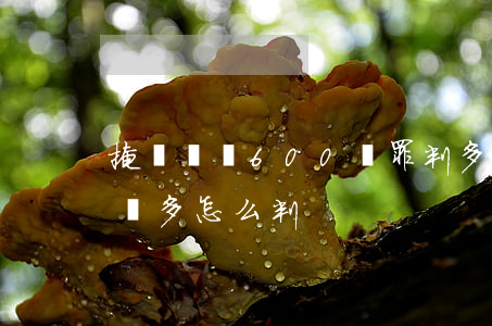 掩飾隱瞞600萬罪判多少年(掩飾隱瞞罪2萬多怎么判)