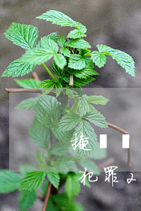 掩飾隱瞞犯罪流水40萬怎么判刑(掩飾隱瞞犯罪20萬案罰金)