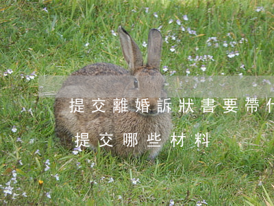 提交離婚訴狀書要帶什么材料(起訴離婚需要提交哪些材料)