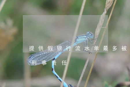 提供假银行流水单最多被拒贷？当心被追究刑事责任