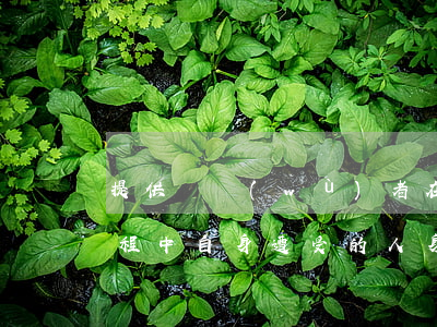 提供勞務(wù)者在提供勞務(wù)過程中自身遭受的人身損害，該如何維權(quán)！