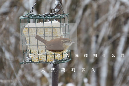 提供卡給人洗錢判什么罪要給懲戒嘛(賣卡給別人洗錢判多久)
