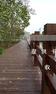 提供卡給人賭博洗錢判什么罪(為賭博提供賬戶收錢 犯罪)