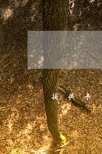 提供卡給別人洗錢犯罪嗎(提供卡號(hào)給別人洗錢犯罪)