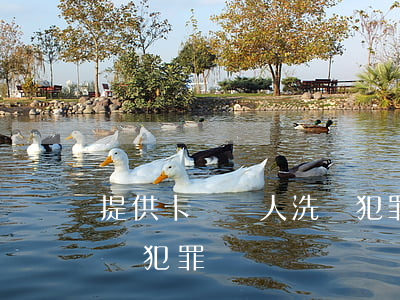 提供卡給別人洗錢犯罪嗎(提供卡號給別人洗錢犯罪)