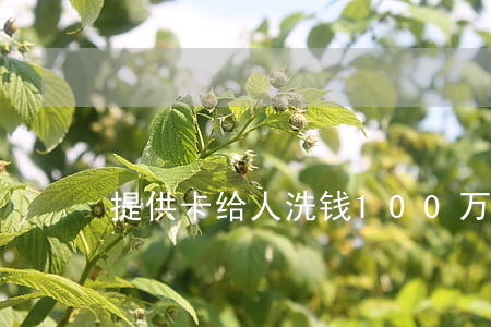 提供卡给人洗钱100万判什么罪