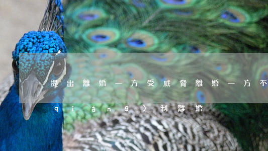 提出離婚一方受威脅(離婚一方不肯如何強(qiáng)制離婚)