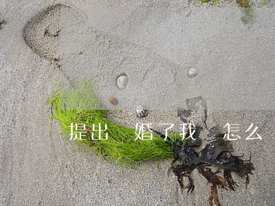 提出離婚了我該怎么辦(如何提出離婚)