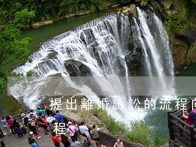 提出離婚訴訟的流程(向法院申請離婚訴訟流程)
