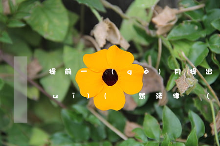 提前一個(gè)月提出離職法律法規(guī)(雖然法律規(guī)定需提前一個(gè)月提出離職申請(qǐng),但是如果不到一個(gè)月,員工)