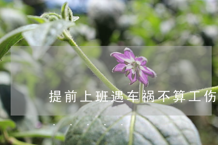 提前上班遇车祸不算工伤？人社部门回应......