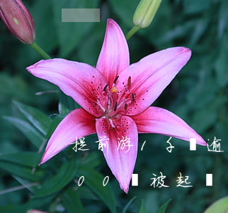 提前游1千塊逾期會起訴嗎(提錢游逾期1200會被起訴嗎)
