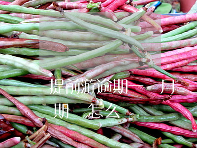 提前游逾期一個月會上黑名單嗎-提前游逾期會怎么辦