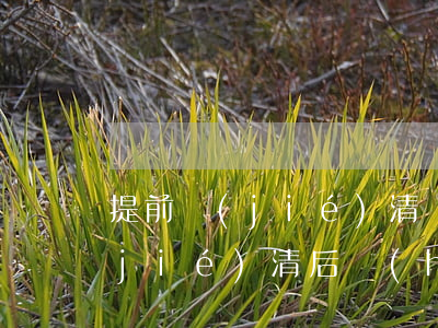 提前結(jié)清貸款顯示逾期(逾期結(jié)清后會(huì)顯示逾期嗎)
