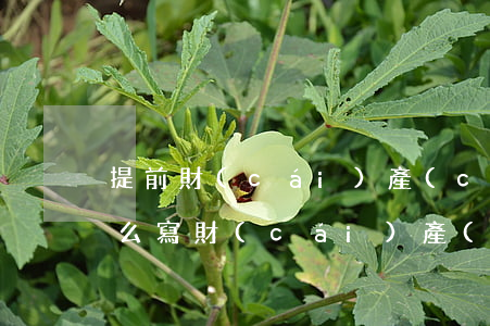 提前財(cái)產(chǎn)繼承書怎么寫(財(cái)產(chǎn)繼承權(quán)怎么寫)