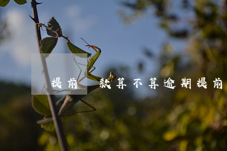 提前還款算不算逾期(提前還款也算違約嗎)