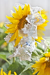 提前還銀行房貸還有逾期(提前還銀行房貸還有逾期)