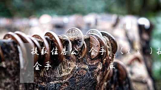 提取住房公積金手續(xù)(提取住房公積金手續(xù)麻煩嗎)