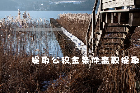 提取公积金条件(离职提取公积金条件)