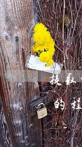 提取公積金條件主要是什么（住房公積金提取的程序）