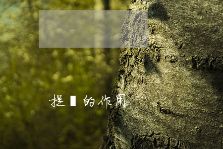 提單的作用