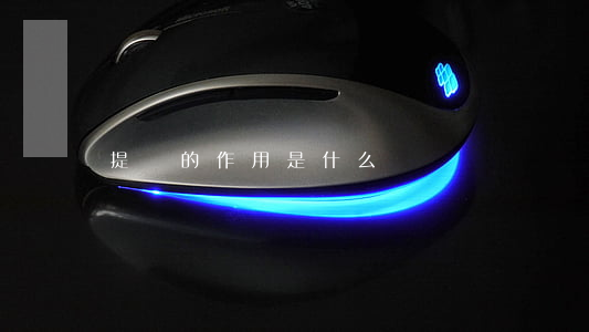 提單的作用是什么