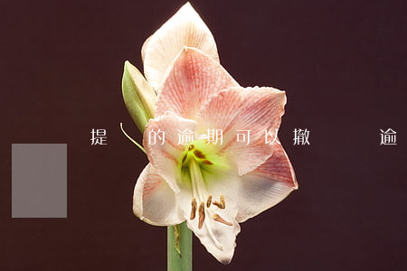 提報的逾期可以撤銷嗎(逾期申報提醒)