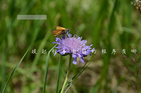 提起刑事自訴的程序有哪些